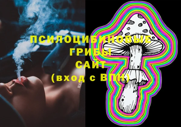 эйфоретик Баксан