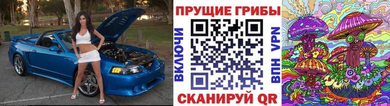 Псилоцибиновые грибы Psilocybe  shop какой сайт  Безенчук 